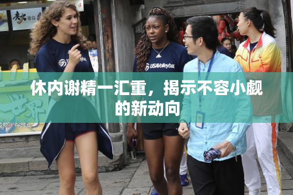 休内谢精一汇重，揭示不容小觑的新动向