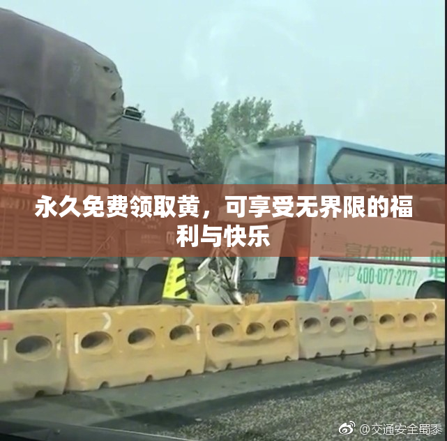 永久免费领取黄，可享受无界限的福利与快乐