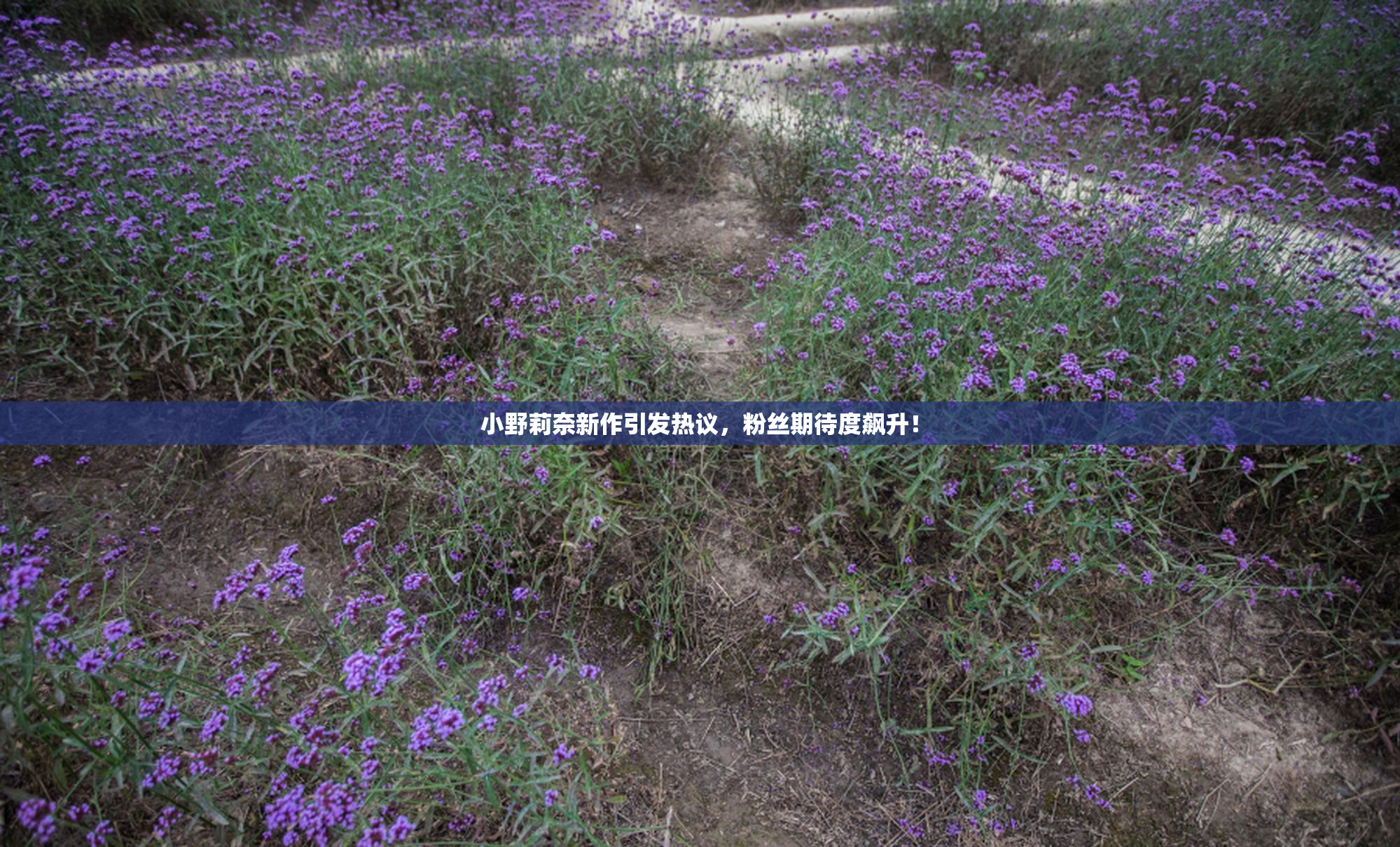 小野莉奈新作引发热议，粉丝期待度飙升！