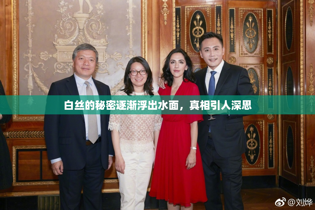 白丝的秘密逐渐浮出水面，真相引人深思