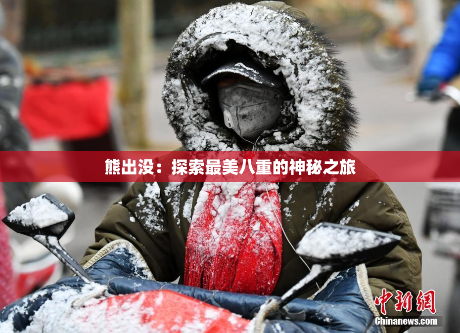 熊出没：探索最美八重的神秘之旅