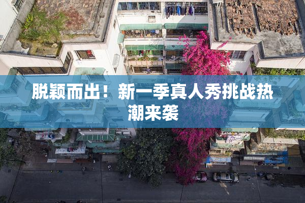 脱颖而出！新一季真人秀挑战热潮来袭