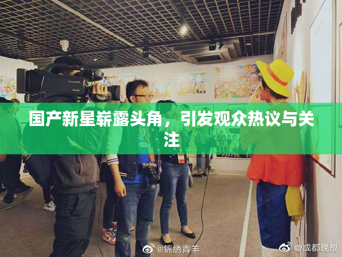 国产新星崭露头角，引发观众热议与关注