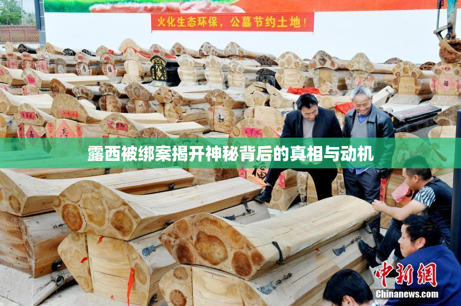 露西被绑案揭开神秘背后的真相与动机