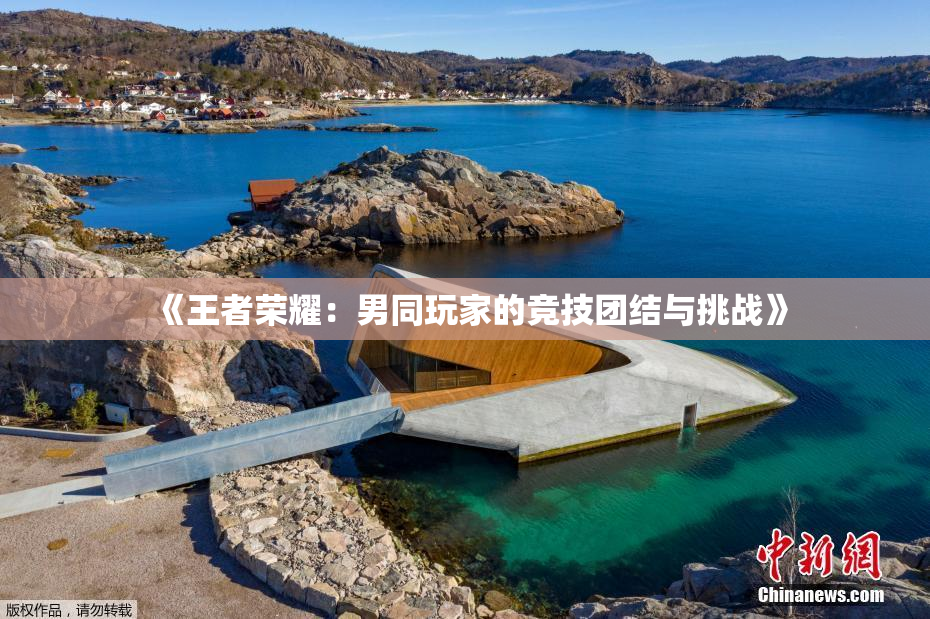 《王者荣耀：男同玩家的竞技团结与挑战》