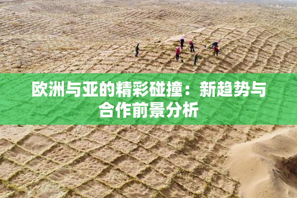 欧洲与亚的精彩碰撞：新趋势与合作前景分析