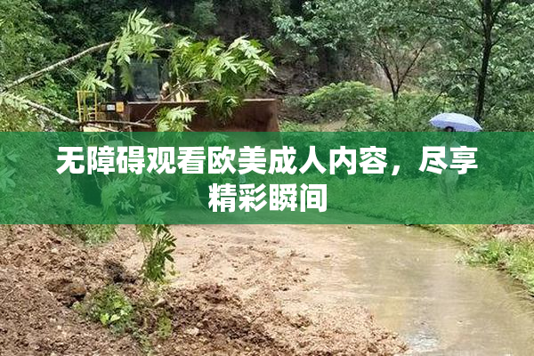 无障碍观看欧美成人内容，尽享精彩瞬间