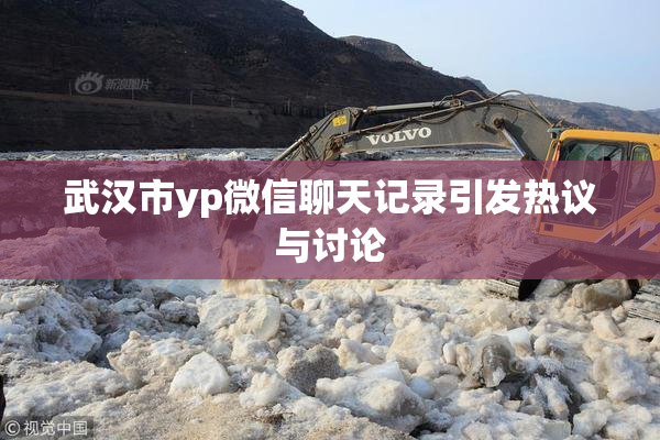 武汉市yp微信聊天记录引发热议与讨论