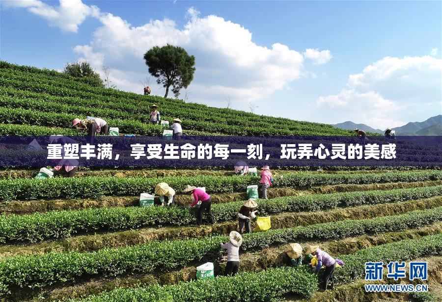重塑丰满，享受生命的每一刻，玩弄心灵的美感