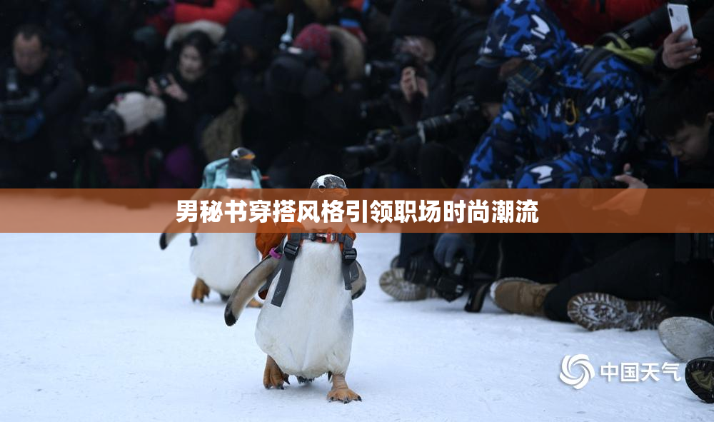 男秘书穿搭风格引领职场时尚潮流