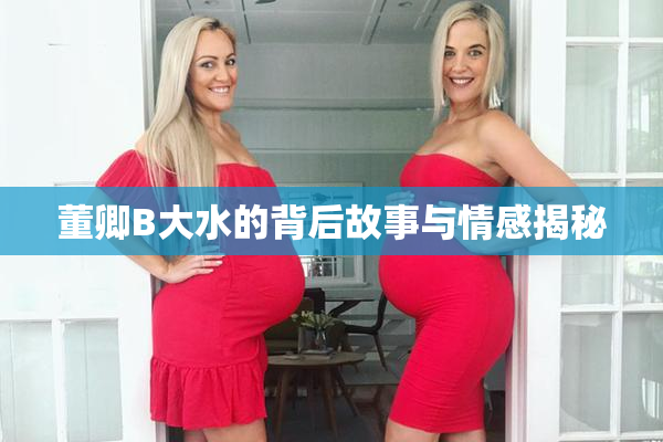 董卿B大水的背后故事与情感揭秘