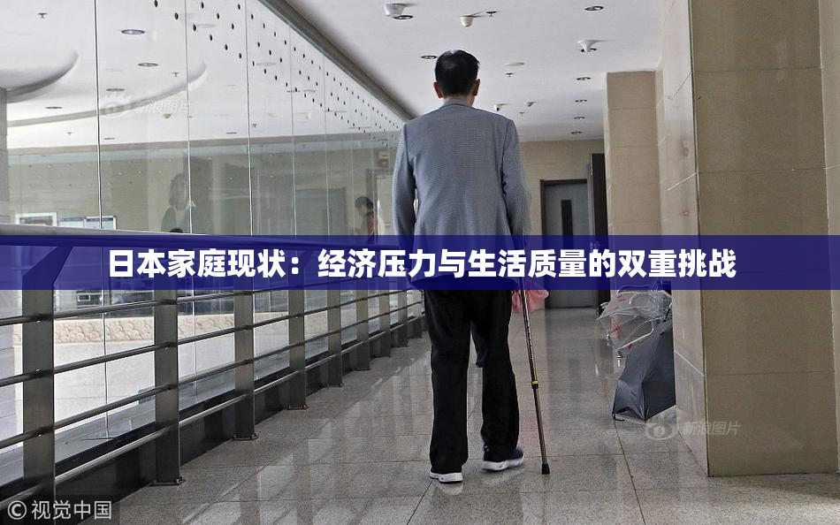 日本家庭现状：经济压力与生活质量的双重挑战