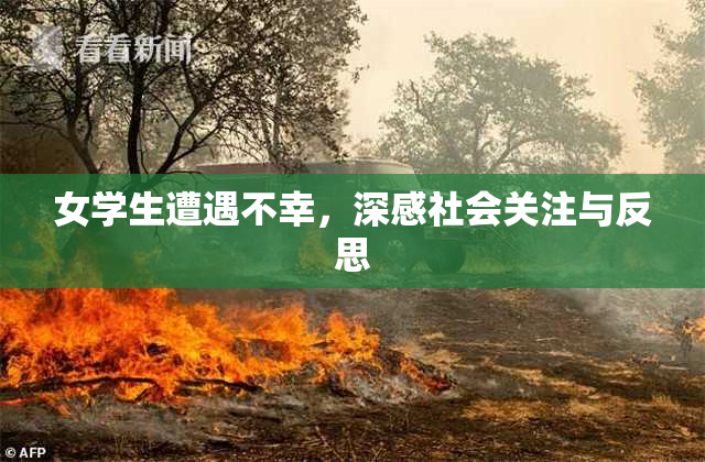 女学生遭遇不幸，深感社会关注与反思