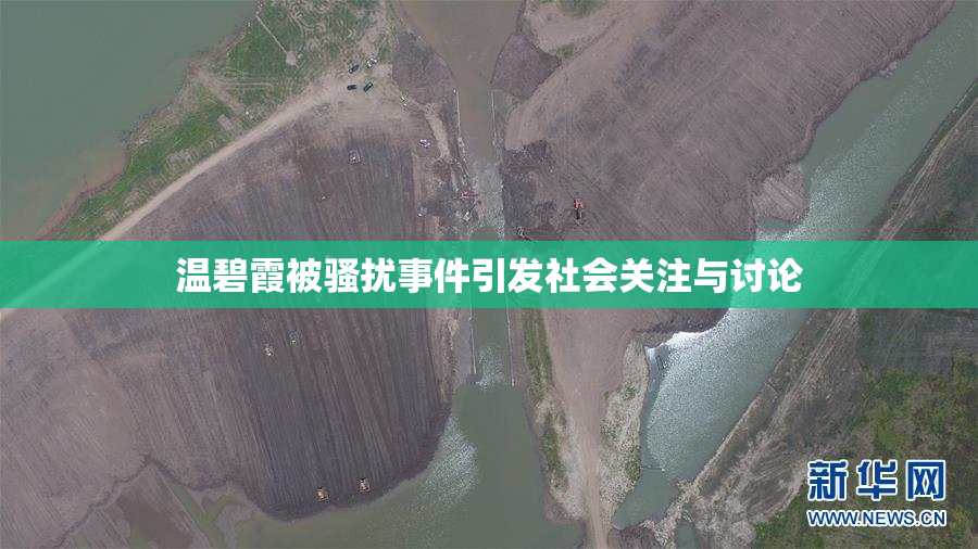 温碧霞被骚扰事件引发社会关注与讨论