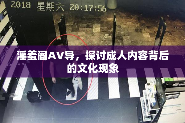 淫羞阁AV导，探讨成人内容背后的文化现象