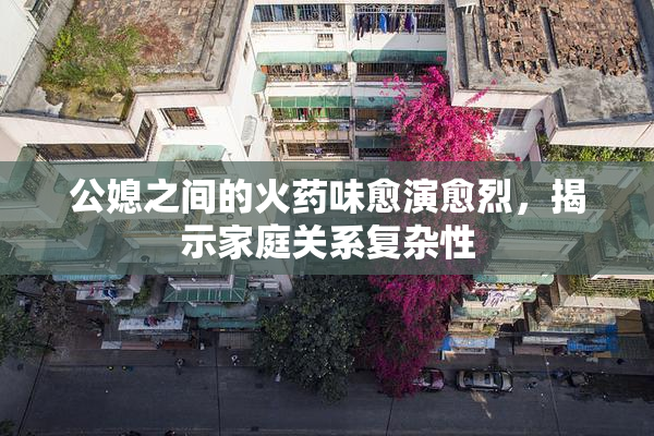 公媳之间的火药味愈演愈烈，揭示家庭关系复杂性
