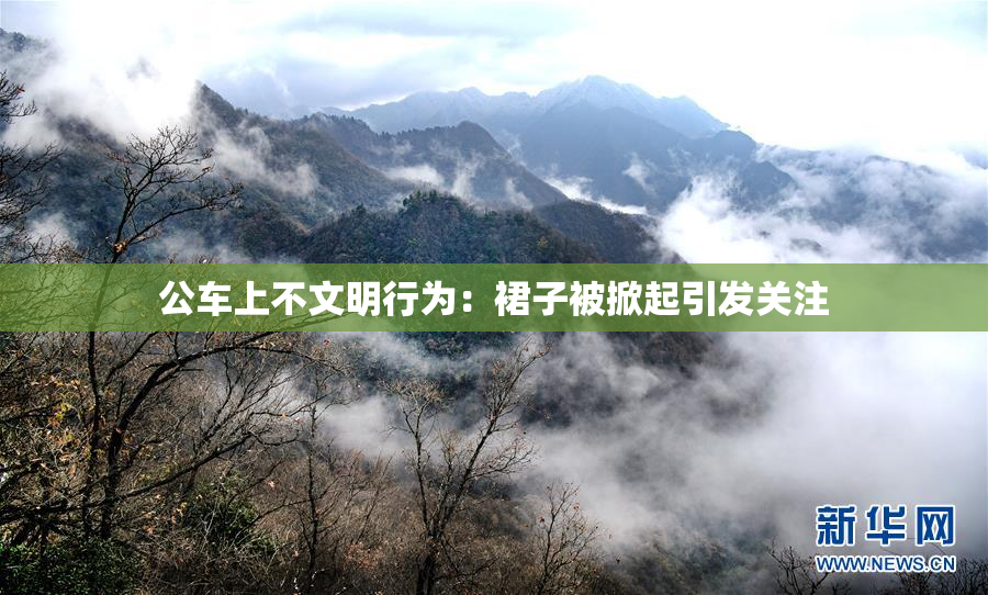 公车上不文明行为：裙子被掀起引发关注
