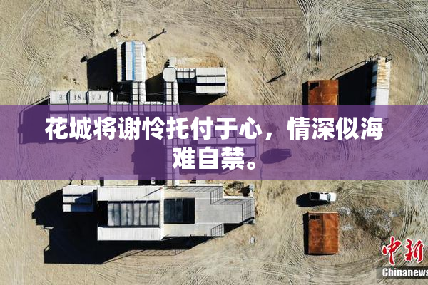 花城将谢怜托付于心，情深似海难自禁。