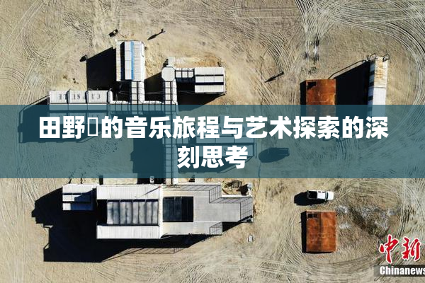 田野憂的音乐旅程与艺术探索的深刻思考