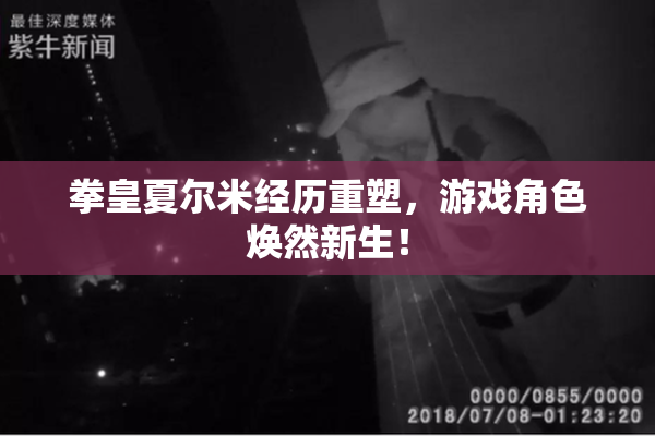 拳皇夏尔米经历重塑，游戏角色焕然新生！