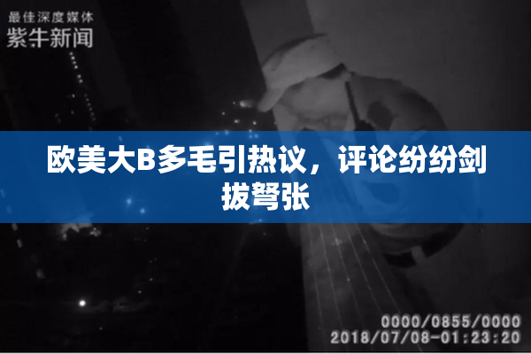 欧美大B多毛引热议，评论纷纷剑拔弩张