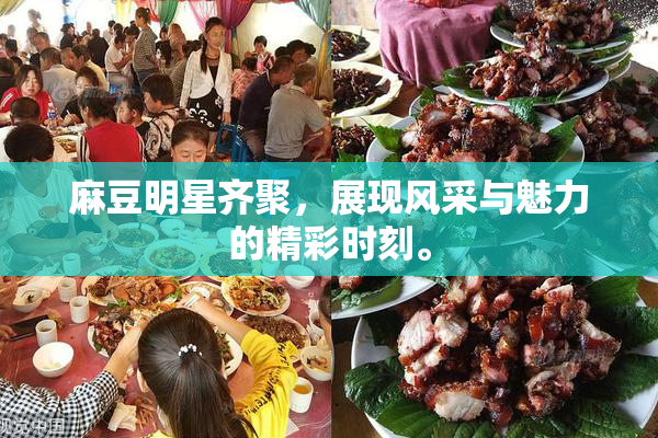 麻豆明星齐聚，展现风采与魅力的精彩时刻。