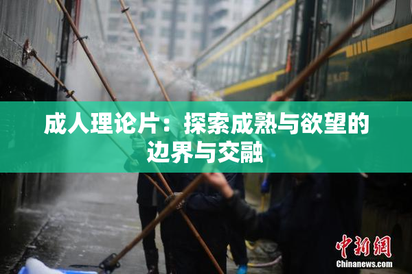成人理论片：探索成熟与欲望的边界与交融