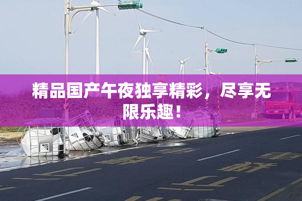 精品国产午夜独享精彩，尽享无限乐趣！