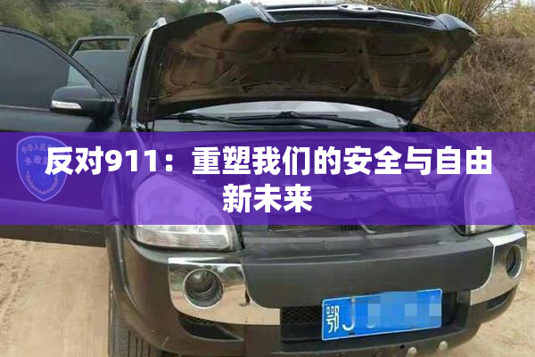 反对911：重塑我们的安全与自由新未来