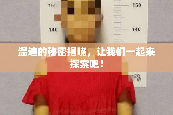温迪的秘密揭晓，让我们一起来探索吧！