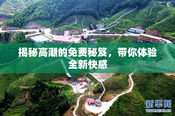 揭秘高潮的免费秘笈，带你体验全新快感