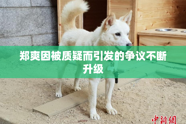 郑爽因被质疑而引发的争议不断升级