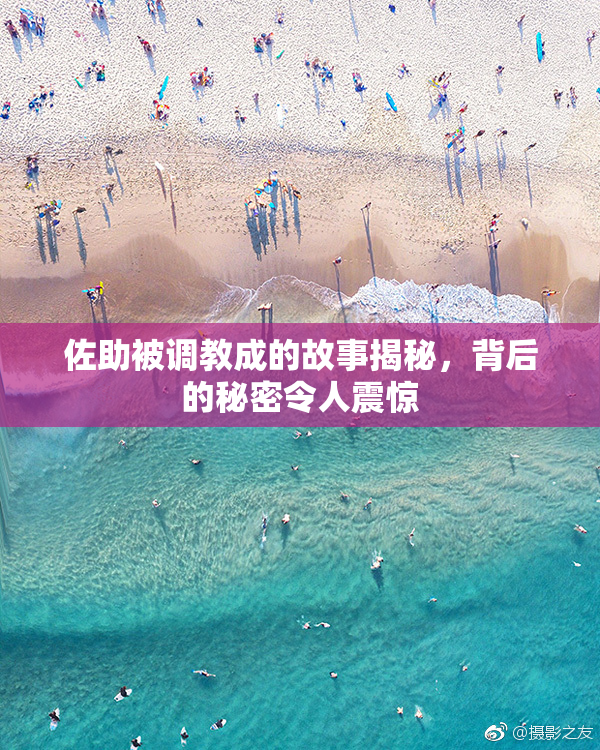 佐助被调教成的故事揭秘，背后的秘密令人震惊