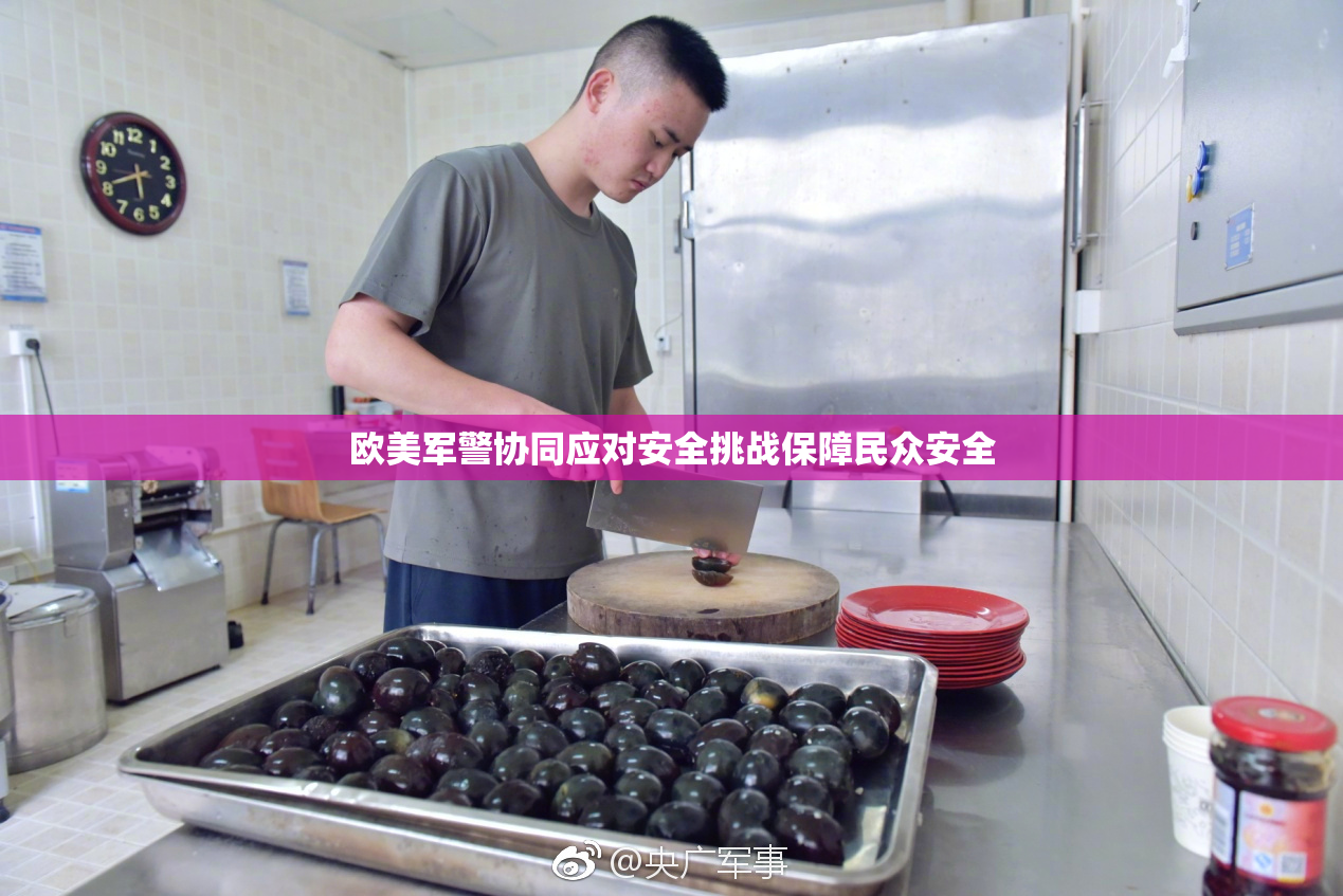 欧美军警协同应对安全挑战保障民众安全