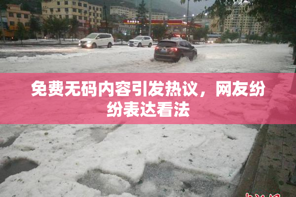 免费无码内容引发热议，网友纷纷表达看法