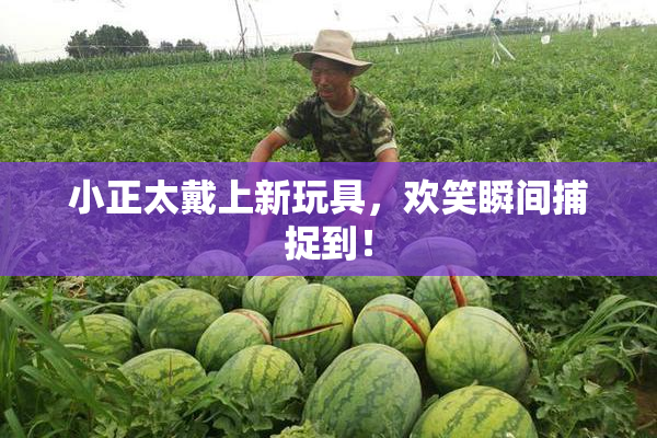 小正太戴上新玩具，欢笑瞬间捕捉到！