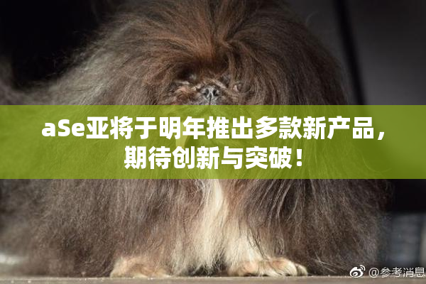 aSe亚将于明年推出多款新产品，期待创新与突破！