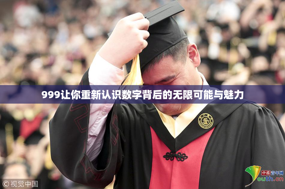 999让你重新认识数字背后的无限可能与魅力