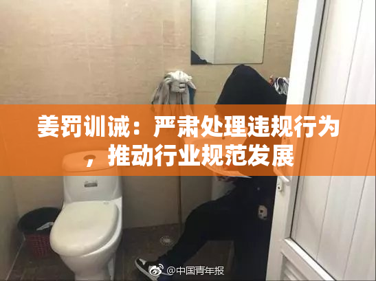 姜罚训诫：严肃处理违规行为，推动行业规范发展