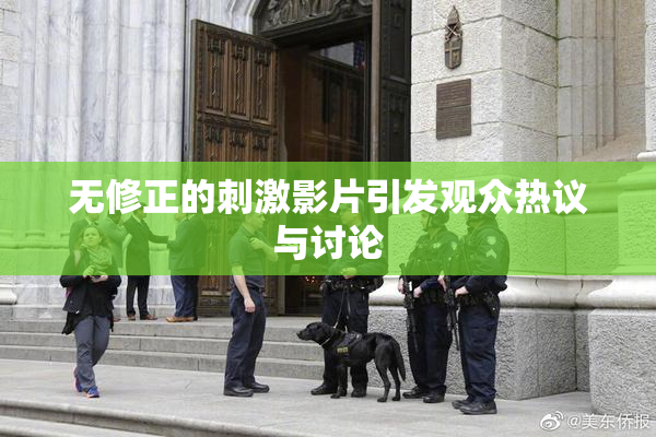 无修正的刺激影片引发观众热议与讨论