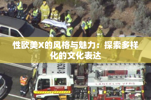 性欧美X的风格与魅力：探索多样化的文化表达