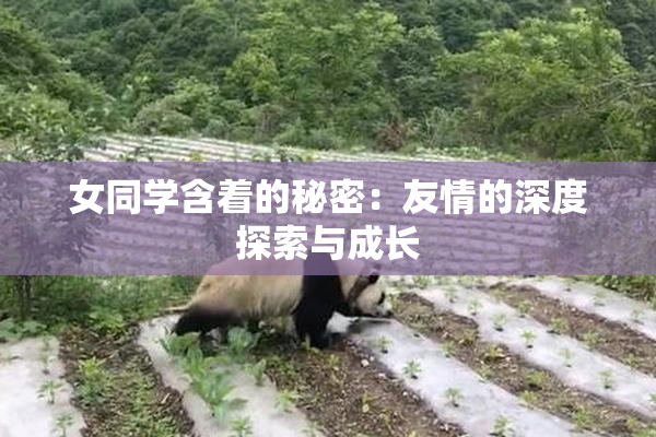 女同学含着的秘密：友情的深度探索与成长