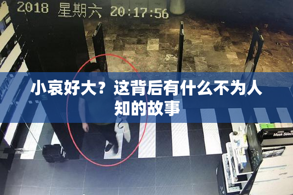 小哀好大？这背后有什么不为人知的故事