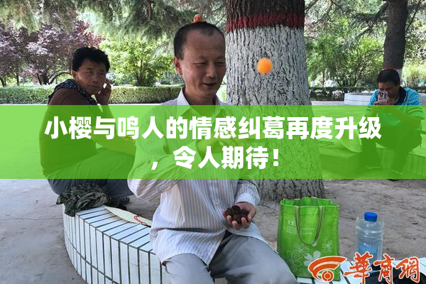 小樱与鸣人的情感纠葛再度升级，令人期待！