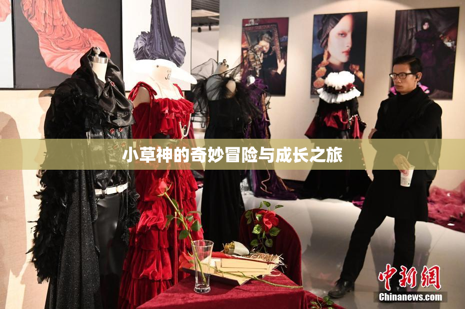 小草神的奇妙冒险与成长之旅