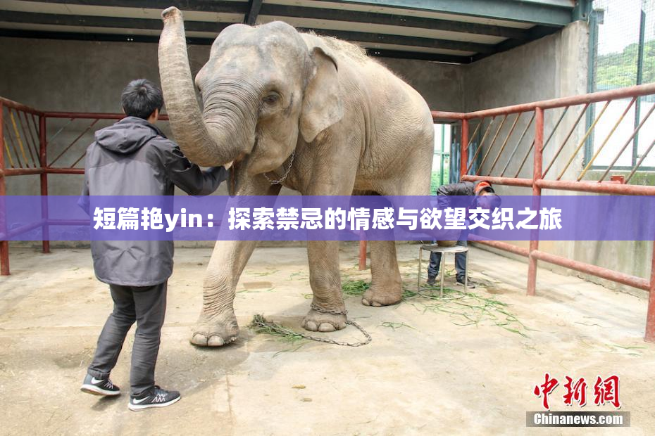 短篇艳yin：探索禁忌的情感与欲望交织之旅