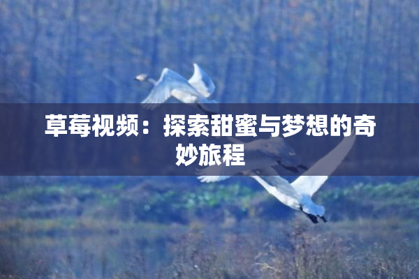 草莓视频：探索甜蜜与梦想的奇妙旅程