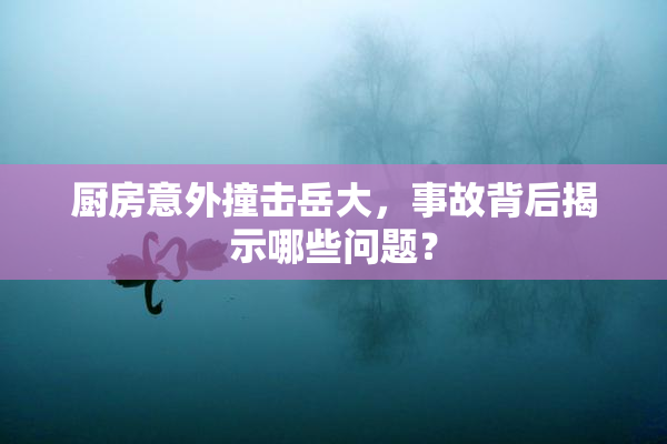 厨房意外撞击岳大，事故背后揭示哪些问题？