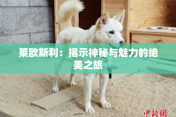 莱欧斯利：揭示神秘与魅力的绝美之旅