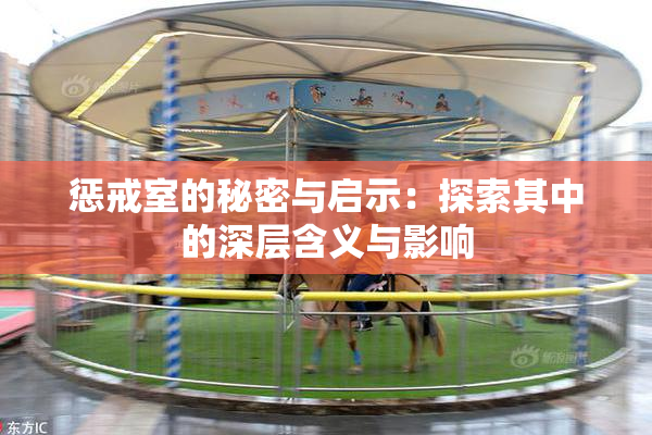 惩戒室的秘密与启示：探索其中的深层含义与影响
